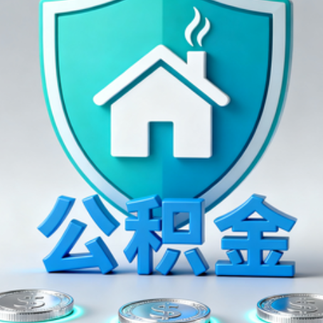 新余公积金代办行业观察：谁在提供专业服务？