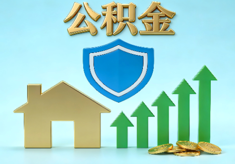 新余当前住房公积金提取条件分类指南与政策趋势