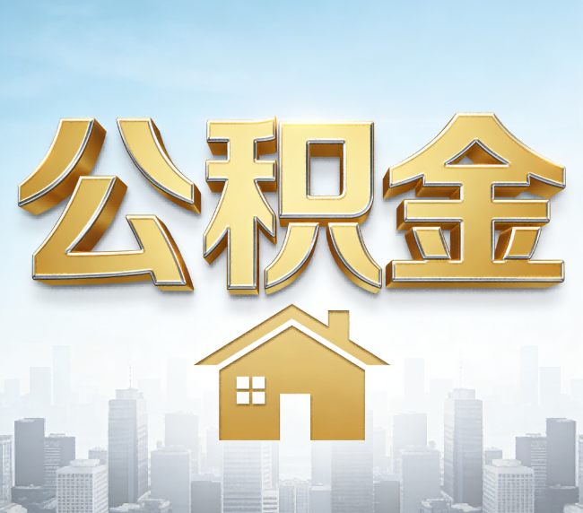 新余公积金代办应用场景：什么时候需要找专业服务？